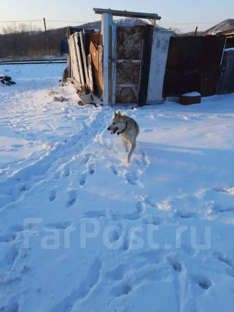 �����. ����