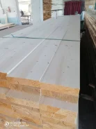 �����. ��� ����