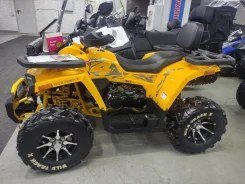 Motoland Wild Track X Pro. ��������, ��� ���\���, ��� ������� ����