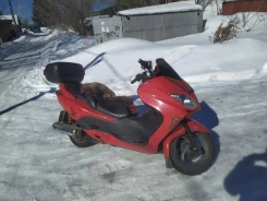 Honda Forza. 250����. ��., ��������, ���, � �������� ����