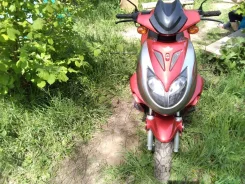 Eurotex. 49����. ��., ��������, ���, � �������� ����