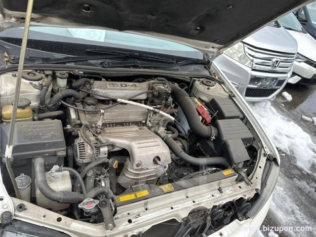 Toyota Vista Ardeo. SV50, 3SFSE ����