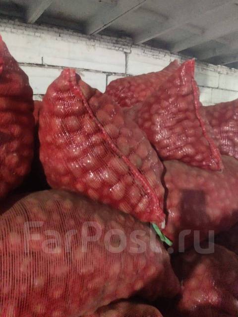Продам семенную картошку, в наличии. Цена: 25₽ в Находке