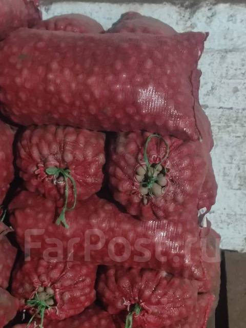 Продам семенную картошку, в наличии. Цена: 25₽ в Находке
