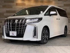 Toyota Alphard. ��������, ��������, 2.5 (152��.�.), ������, 25 000����. ��, �/�. ��� ����� �� ������������ ����