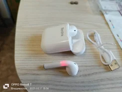 ���������. ����