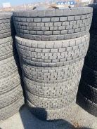 Dunlop Dectes SP680. ������, 2020 ���, �/�, ����� 5 % ����