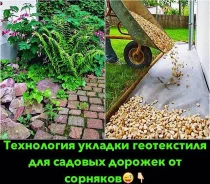 �����������. ��� ����� �� ���������� ����
