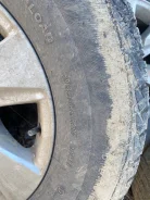 Lassa Competus Winter. ������, ��� �����, 2011 ���, �/�, ����� 70 % ����