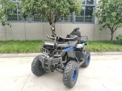 Yacota Warrior 200. ��������, ��� ���\���, ��� ������� ����