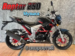 Regulmoto Raptor 250. 250����. ��., ��������, ���������, ��� ������� ����