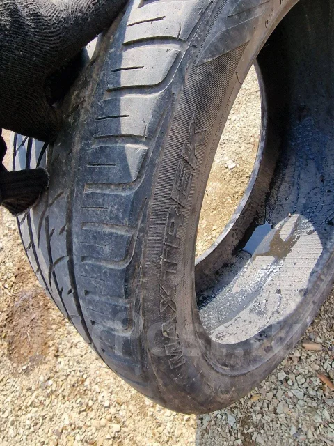 Maxtrek. ������, 2019 ���, �/�, ����� 20 % ����