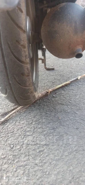 Suzuki Verde. 49����. ��., ��������, ������ �� �� ����