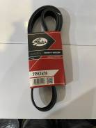   Gates 7PK1678 7PK1678 