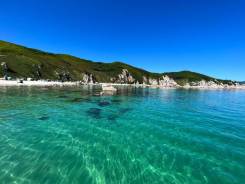 ��������. ����