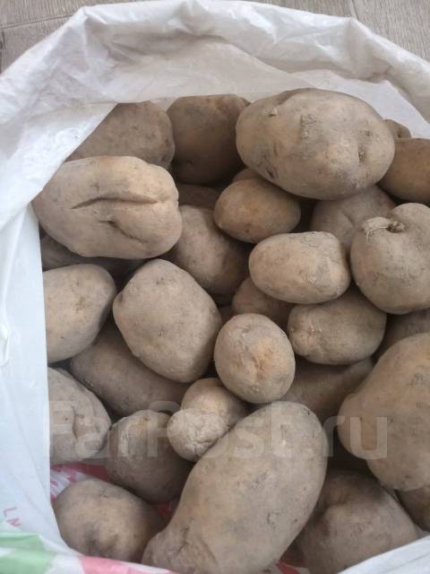 Продам картофель домашний - Домашние продукты во Владивостоке