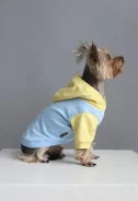 �����. ����