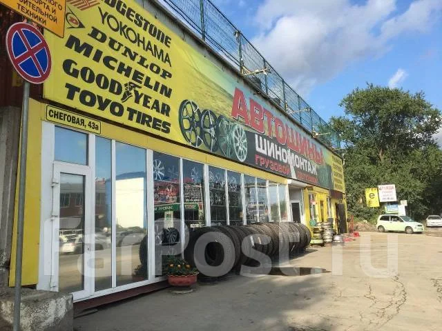 Lakesea Crocodile. ����� mt, 2023 ���, ����� ����