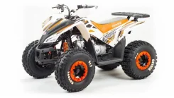 Motoland Coyote 125. ��������, ��� ���\���, ��� ������� ����
