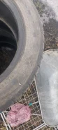 Toyo Proxes 1. ������, �/�, ����� 40 % ����