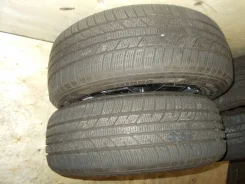 Zeetex WP1000. ������, ��� �����, 2018 ���, �/�, ����� 10 % ����