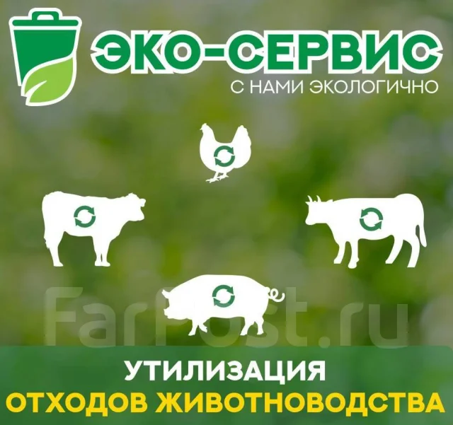 ЖБО. Откачка, Утилизация жидких бытовых отходов. Документация во ...