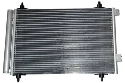 ��������� Citroen C4 / 32313 ASAM-SA 32313 ����