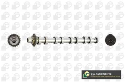���������� cit cs5538 BG Automotive CS5538 ����