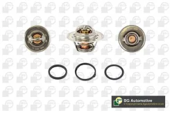 ��������� cit ct5482k BG Automotive CT5482K ����