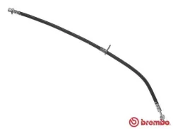 ����� ��������� | ���� t83119 Brembo T83119 ����