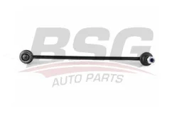 ���� ������������� - bsg30310135 BSG BSG30310135 ����