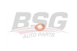 ������ ������������� bsg30995048 BSG BSG30995048 ����