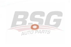 BSG 30-995-049_����� bsg30995049 BSG BSG30995049 ����