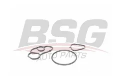 ���������� �������� bsg70116001 BSG BSG70116001 ����