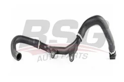 ����� ��� ��������� bsg70720186 BSG BSG70720186 ����