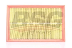 ������ ��������� / A bsg90135017 BSG BSG90135017 ����
