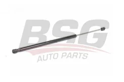 ����������� ������ bsg90980021 BSG BSG90980021 ����