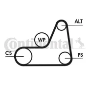 Contitech 6PK 6pk1042elast Contitech 6PK1042ELAST ����