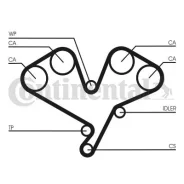 CT1113_������ ���! ct1113 Contitech CT1113 ����