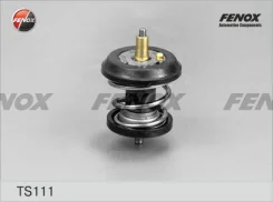 ��������� passat 3c2 ts111 Fenox TS111 ����