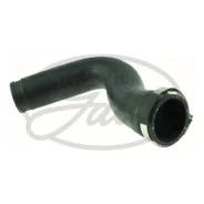 ����� ����������� Merce 090827 Gates 090827 ����