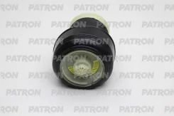 ������������ ������ � pas1010 Patron PAS1010 ����