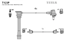 T123p ������� �/� �-� t123p Tesla T123P ����