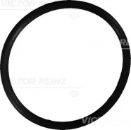 ������ ������ 407602210 Victor Reinz 407602210 ����