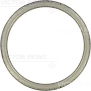 ��������� ��� 715230300 Victor Reinz 715230300 ����