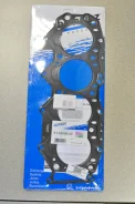 ��������� ��� Victor Reinz 615306500 615306500 ����