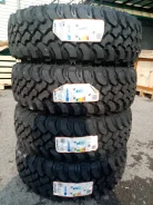 Forward Safari 540. ����� mt, 2026 ���, �����. �������� ������� ����