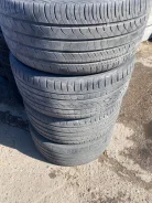 Annaite 100. ������, �/�, ����� 50 % ����