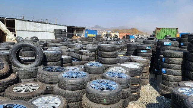 Zetum. ������, 2020 ���, ����� ����