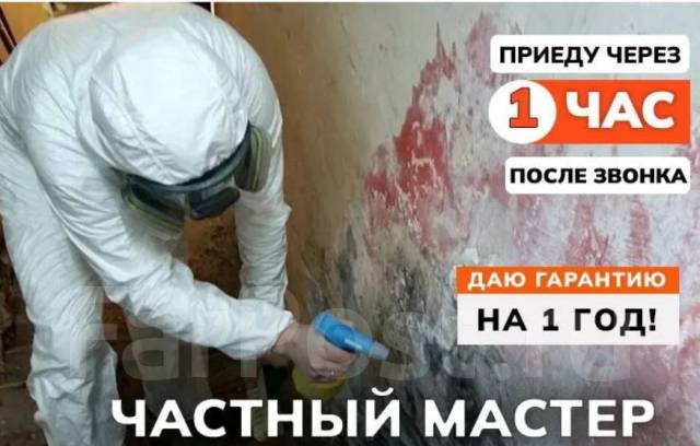 Удаление грибка плесени устранение запахов озоном во Владивостоке